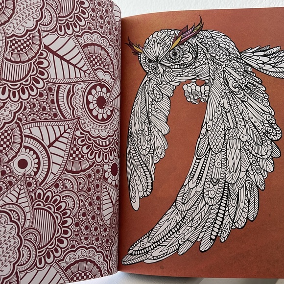 Calming Therapy: An Anti-Stress Coloring Book - Picture 16 of 16